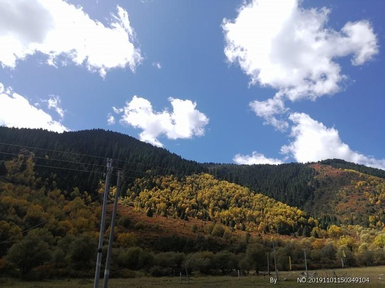 qq空间册怎么删除游戏画面