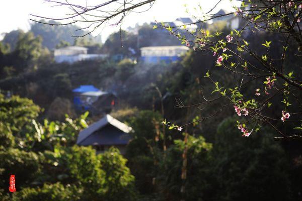 山西大同市委组织部公示10名拟任职干部