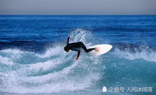昆明市2023年花卉产业主题劳动竞赛总结交流会暨通报表扬会在呈贡召开